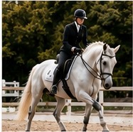 Équitation